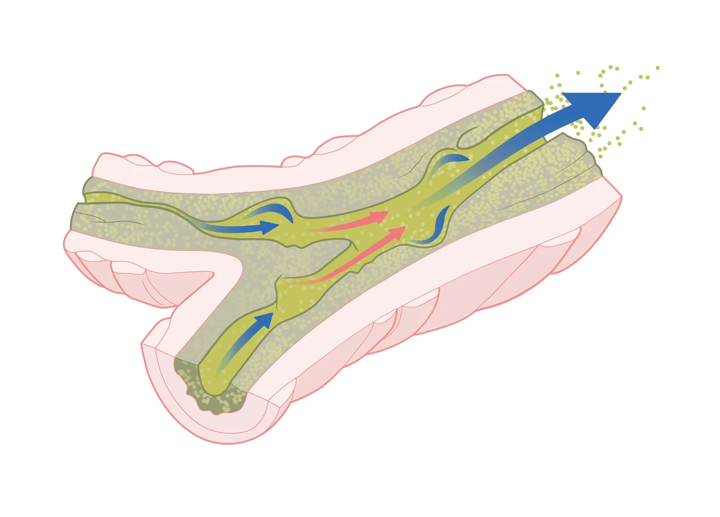 NeoSpire ginnastica respiratoria Flaem